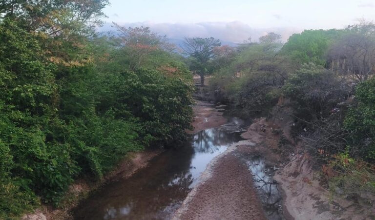 El río Cesar es el segundo afluente más importante del departamento de La Guajira. Sus aguas nacen en la Sierra Nevada de Santa Marta y desembocan en la ciénaga de la Zapatosa.