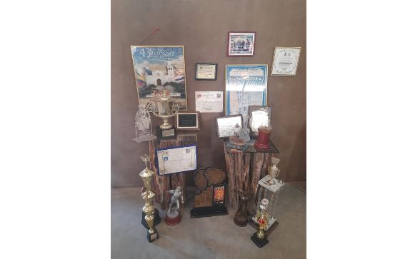 Estos son algunos de los trofeos que tiene en la sala de su casa. Foto: Dalis Bolívar.