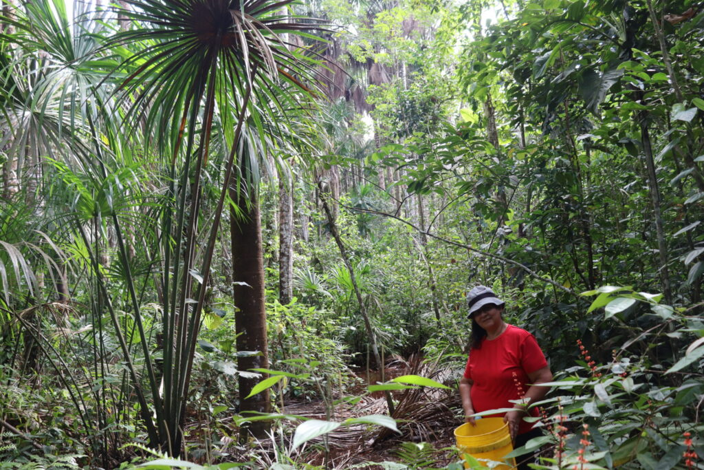 Ana Lucila, de 57 años. entre los cananguchales en búsqueda del fruto de canangucha. Foto: Angy Alvarado.