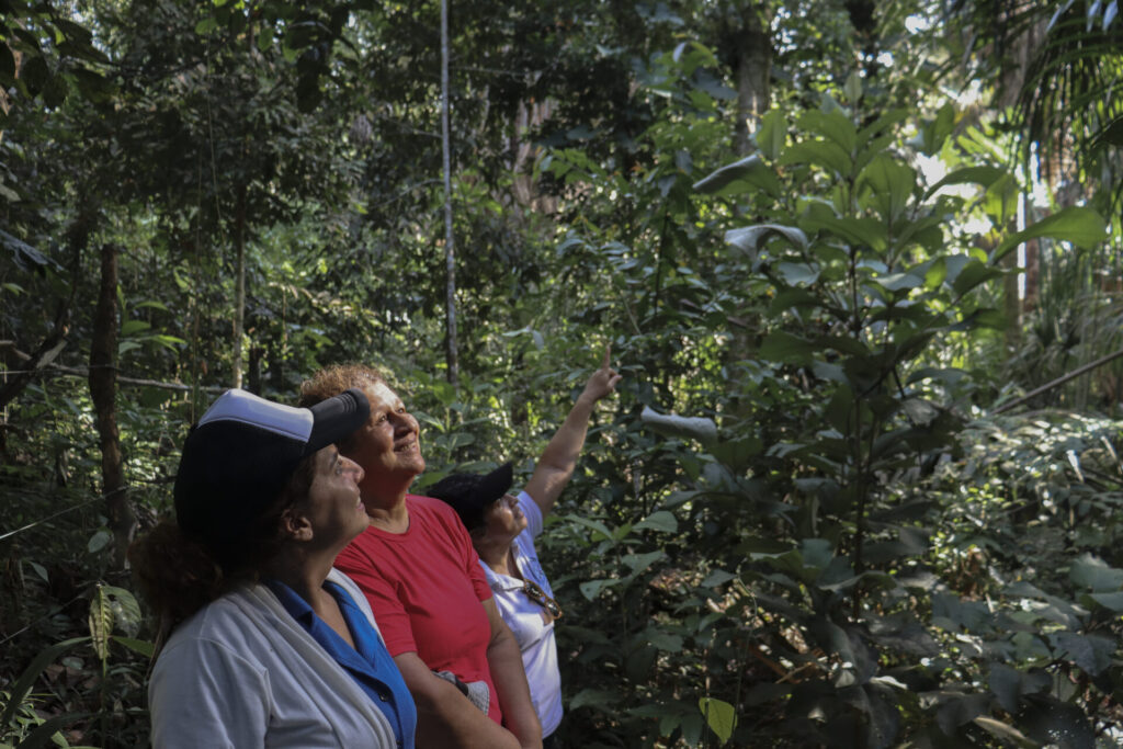 Karen Rojas, Lucila Cañón y María Daisy Bermeo, integrantes de Asmucoca, en las plantaciones de canangucha en la vereda La Patagonia, en Montañita. Foto: Angy Alvarado.