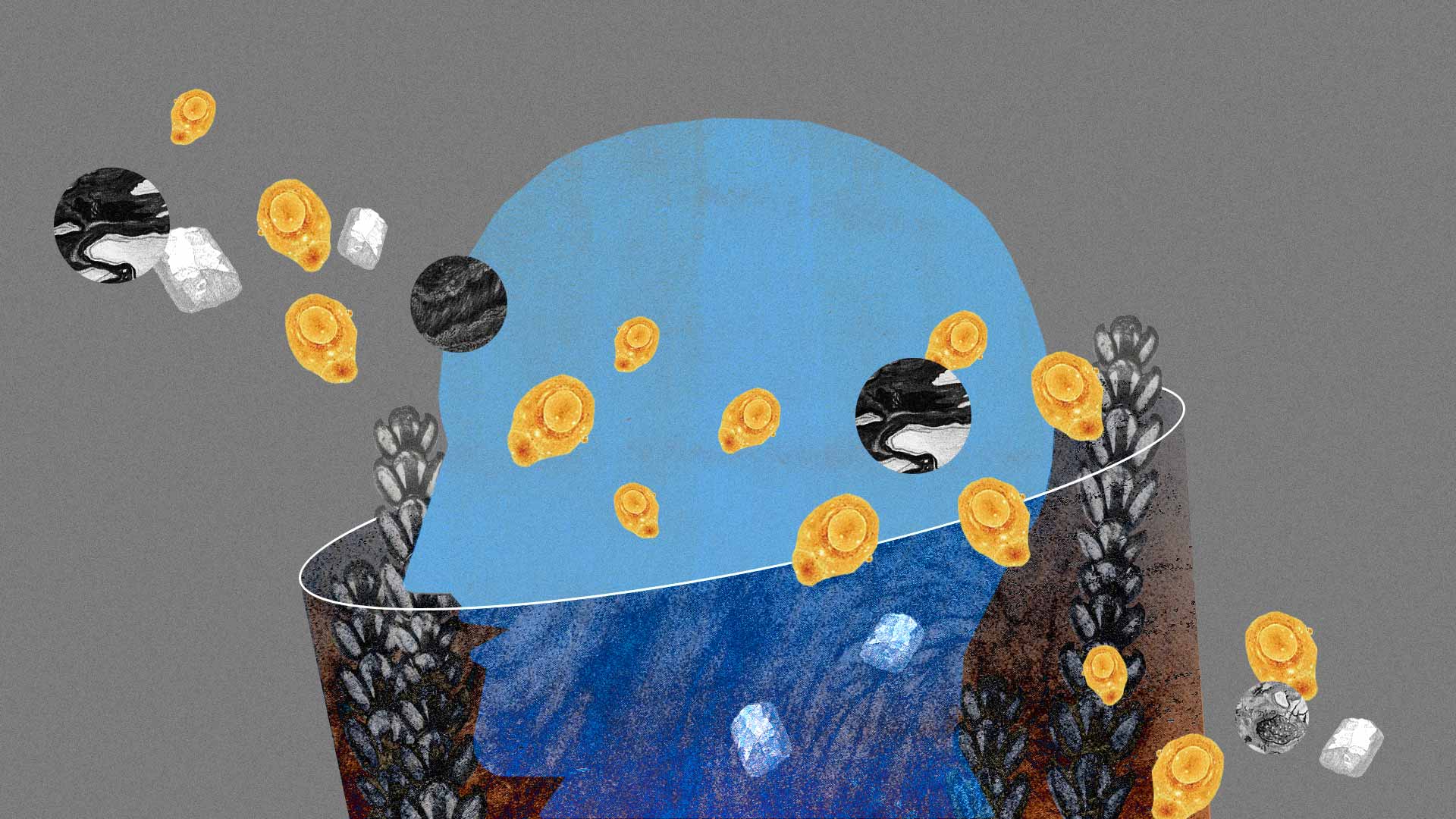 Ilustración: Camila Bolívar