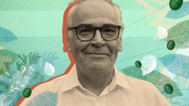 Pablo Pacheco. Ilustración: Camila Bolívar.